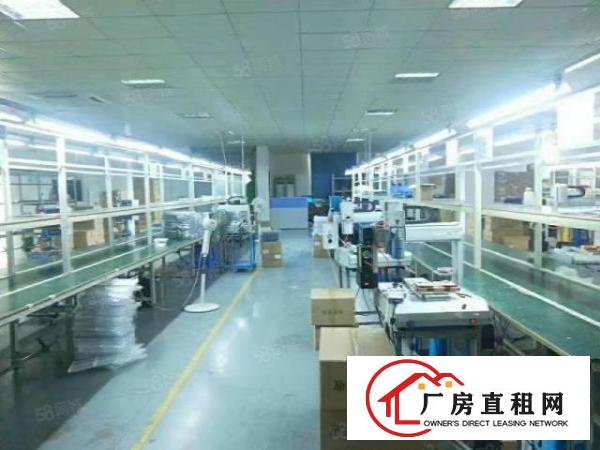  新出精装修厂房800平现成办公家具可拎包入住