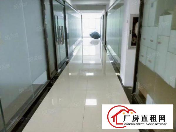  大浪办公108平228平258平羊台山地铁口办公室出租