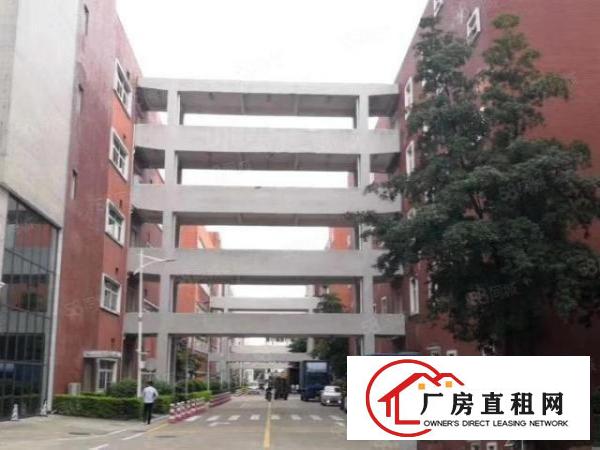  龙华大浪红本厂房仓库出租.花园式厂房500平起租