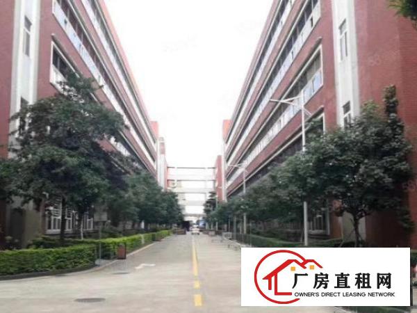  龙华大浪红本厂房仓库出租.花园式厂房500平起租