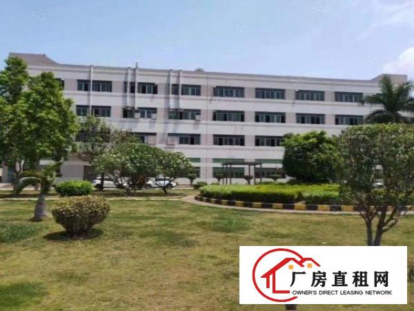  大浪英泰路口原房东一楼厂房1380平方，价格32元
