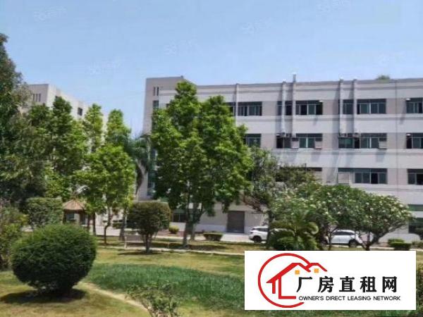  大浪英泰路口原房东一楼厂房1380平方，价格32元