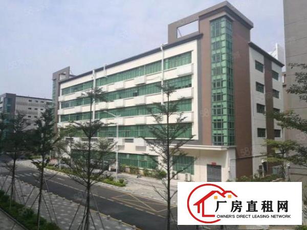  大浪新出电商厂房精装修带家私900平拎包入住厂房出租