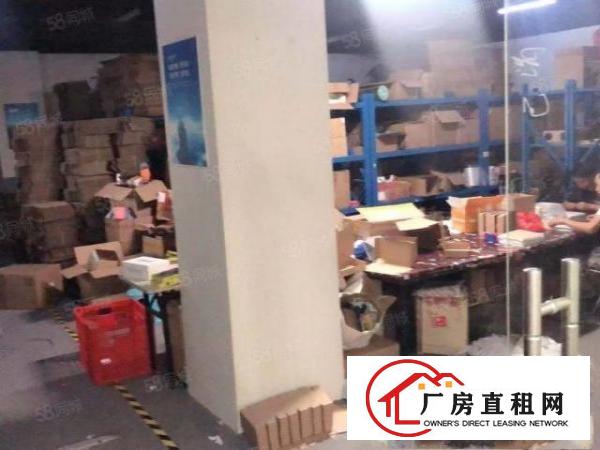  大浪新出电商厂房精装修带家私900平拎包入住厂房出租