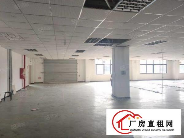  龙华大浪独院独栋仓库厂房招租工业园6450平厂房出租可分租