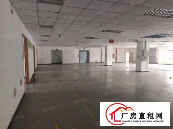  龙华大浪独院独栋仓库厂房招租工业园6450平厂房出租可分租