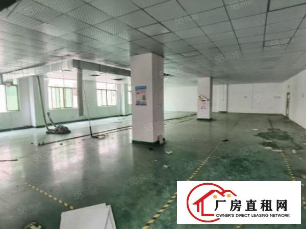  大浪，原房东实际面积出租