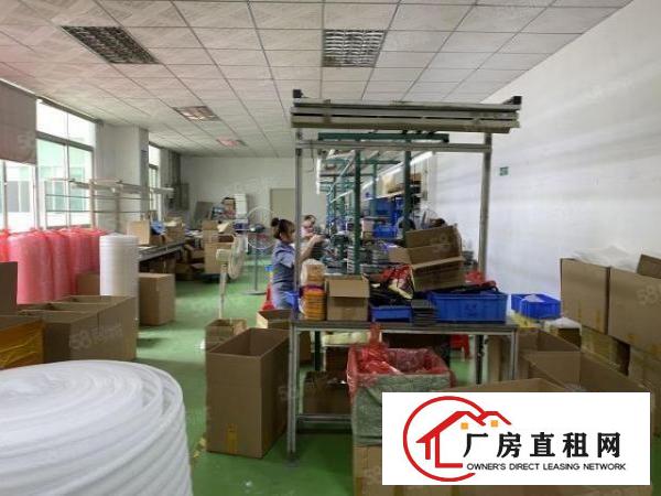  龙华大浪小面积厂房380平招租，现成精装修
