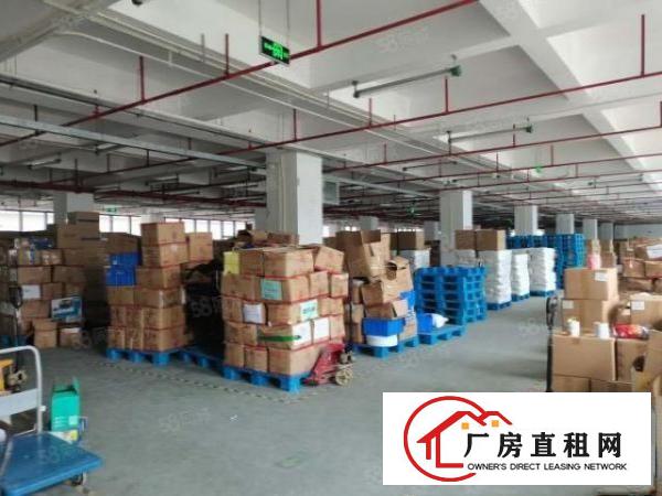  龙华大浪高端园区新出楼上2800厂房招租（可分租）