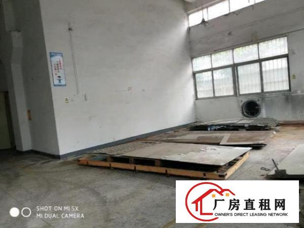  观澜龙华新田一楼400平米5.5米高带牛角有办公室