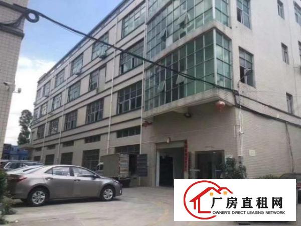  观澜观光路旁原房东，价格实惠