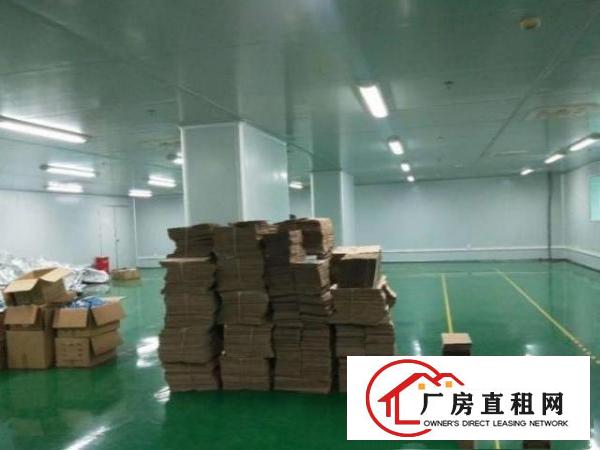  观澜库坑楼上厂房500平方出租，免转让费，精装修