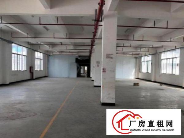  观澜章阁一楼750平方厂房，现成装修，现成行车