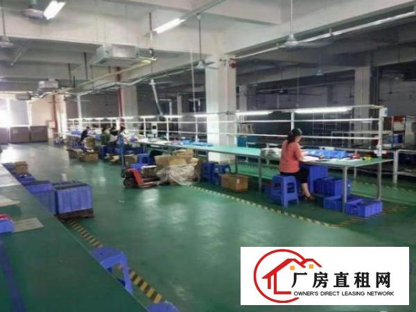  观澜牛湖低价出租一楼厂房600平方，光线好，水电齐
