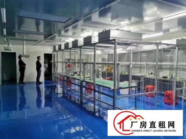  观澜凹背新出千级无尘车间720平方出租，精装修，即租即用