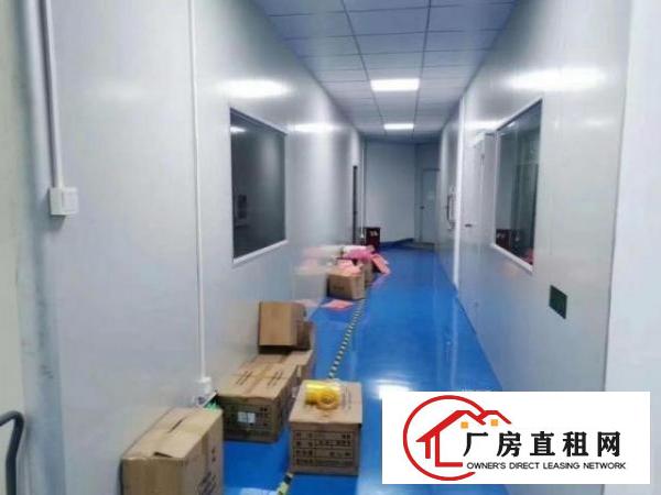  观澜凹背新出千级无尘车间720平方出租，精装修，即租即用