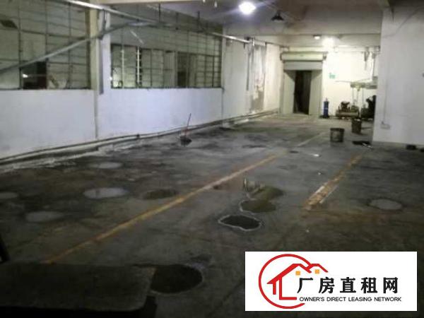  厂房250平出租龙华区观澜福城社区