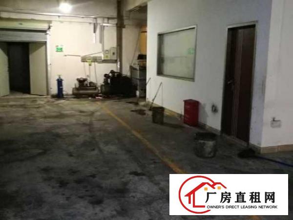  厂房250平出租龙华区观澜福城社区