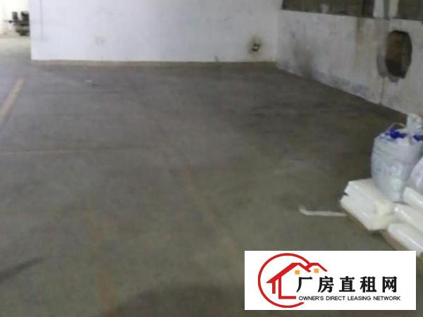  厂房250平出租龙华区观澜福城社区