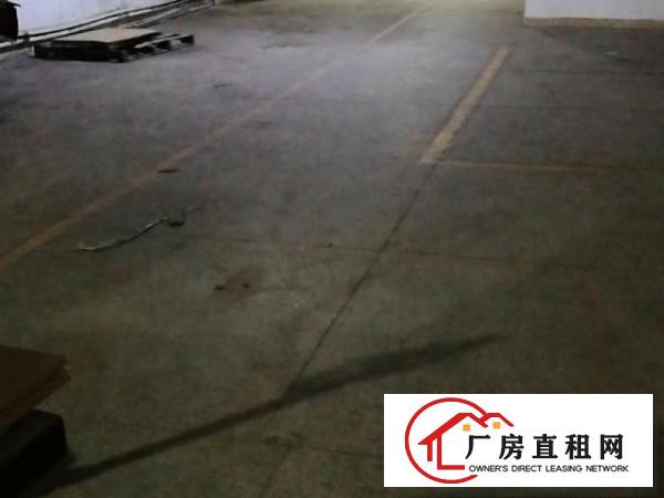 厂房250平出租龙华区观澜福城社区