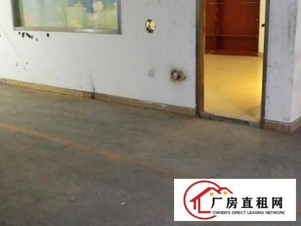  厂房250平出租龙华区观澜福城社区