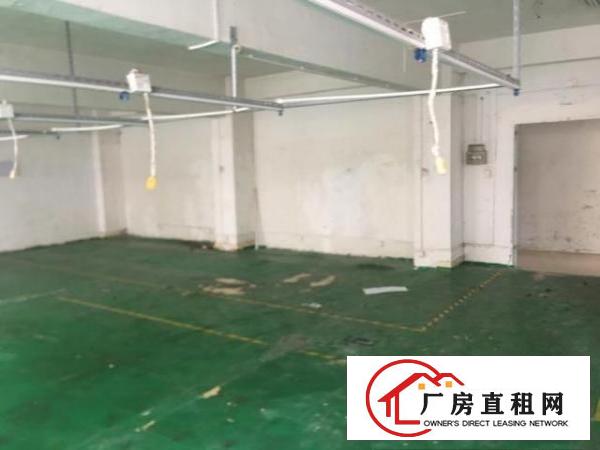  急租，价格实惠，因扩大规模，现在场地不够用。