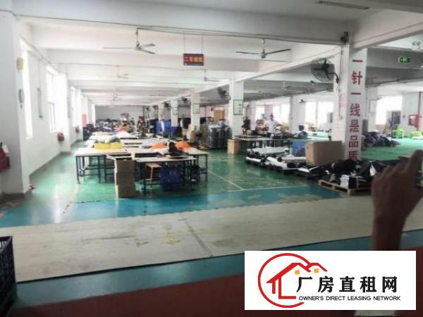  观澜观平路一楼厂房1000平出租，有红本，带装修