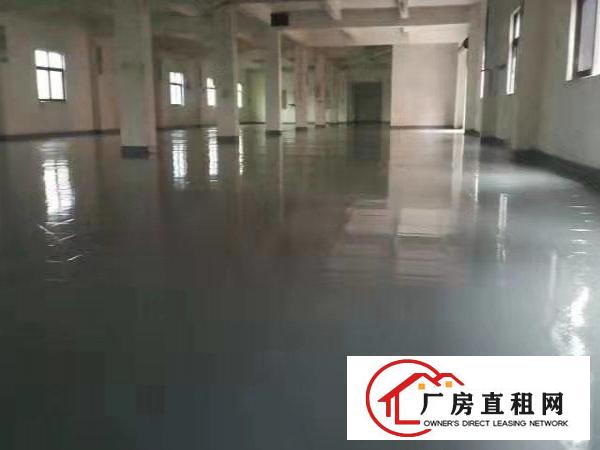  小面积客户福利！龙华观澜500平起分！水电齐全到车间，已隔墙