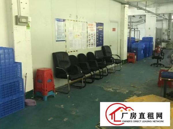  出租龙华区观澜润塘工业区带装修有办公司有生产场地电商仓库