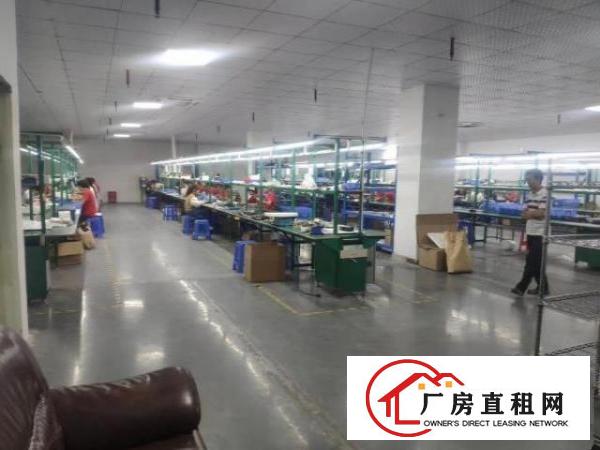  独门独院带豪华精装修
