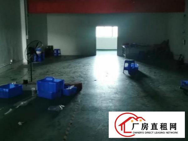  观澜整层1000平厂房带地坪漆带装修出租无转让费