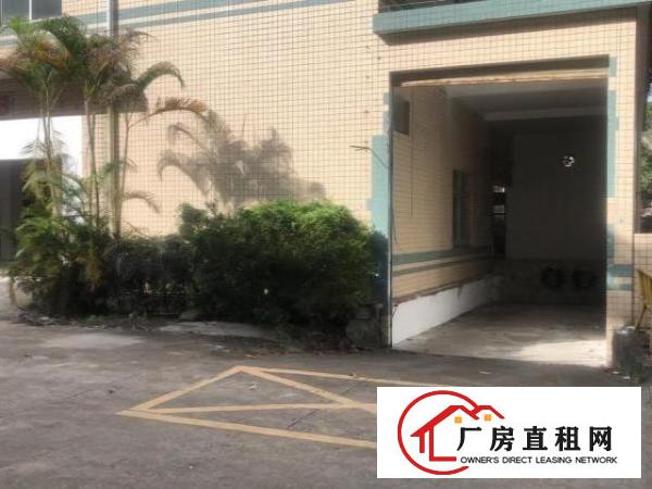  观澜独门独院厂房8200平三层空地大带卸货平台