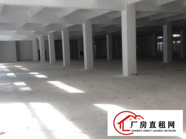  观澜独门独院厂房8200平三层空地大带卸货平台
