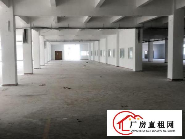  观澜独门独院厂房8200平三层空地大带卸货平台
