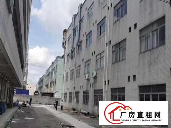  观澜清平高速出口独院厂房6800平出租