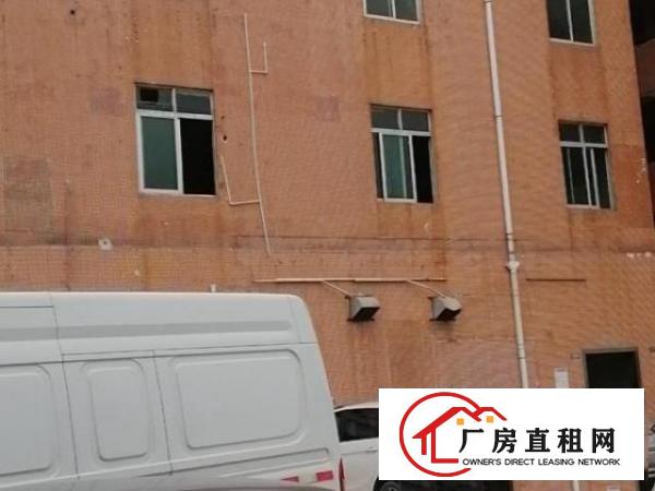 独栋独院村委原房东厂房