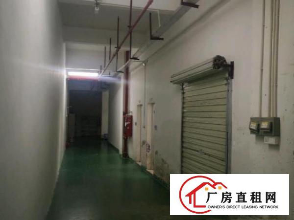  观澜1600平厂房仓库出租