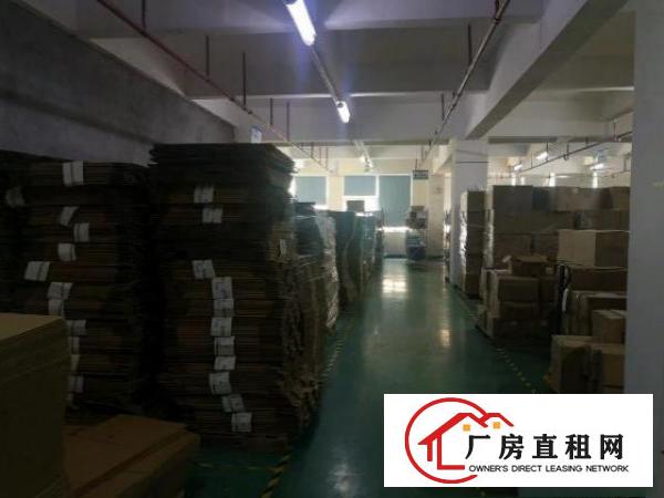  观澜1600平厂房仓库出租