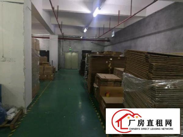  观澜1600平厂房仓库出租