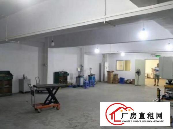  观澜大水坑一楼精装厂房800平可分租两家，全新吊顶地板砖