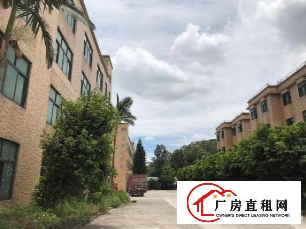  深圳观澜交通方便独院厂房