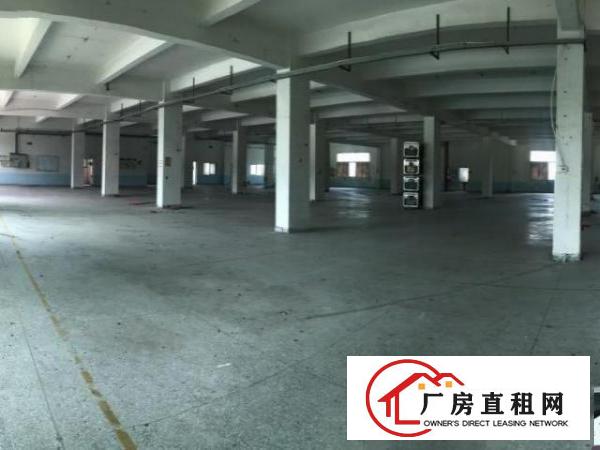  深圳观澜交通方便独院厂房