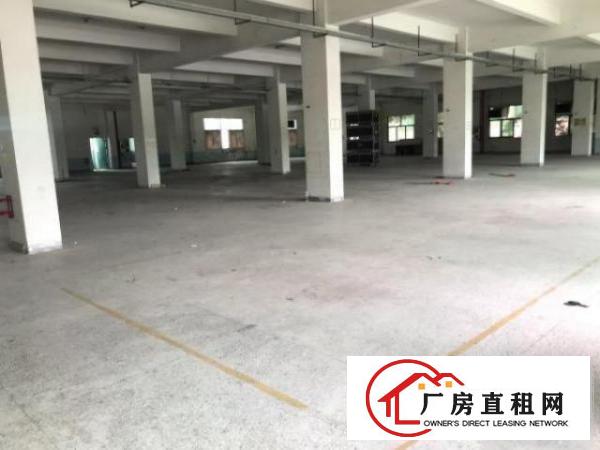  深圳观澜交通方便独院厂房