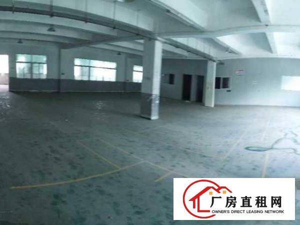  业主直租出租龙华区观澜街道厂房，无行业限制