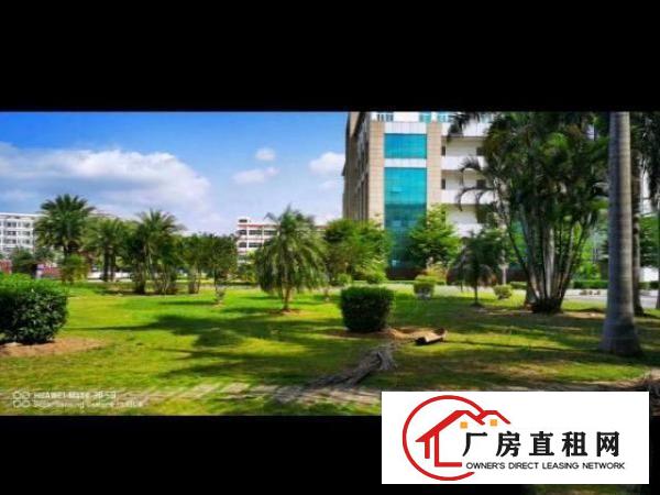  一手房源，实际面积出租