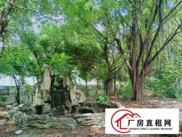  一手房源，实际面积出租