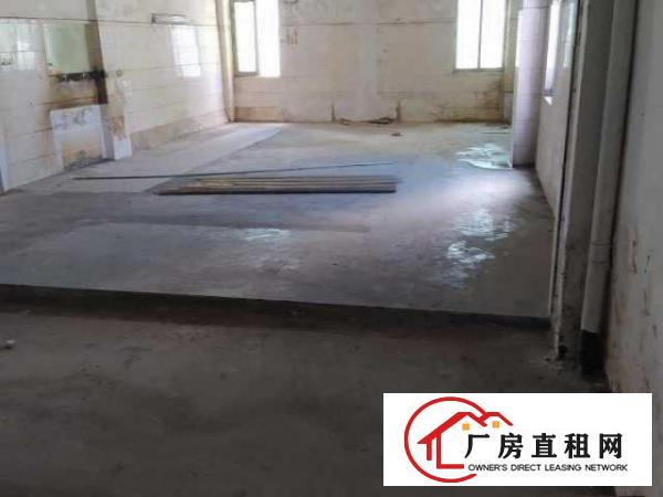  业主直租龙华厂房低价出租，水电齐全交通便利无行业限制