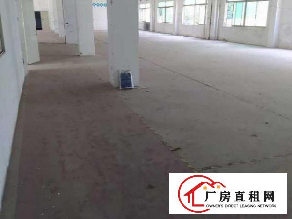  业主直租龙华厂房低价出租，水电齐全交通便利无行业限制