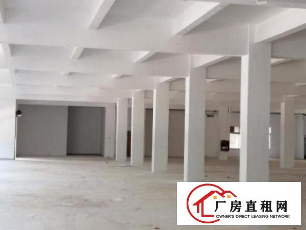  观澜街道库坑原房东厂房出租