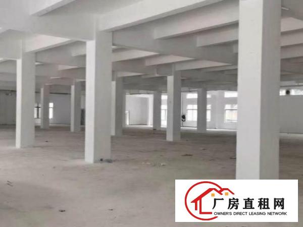  观澜街道库坑原房东厂房出租